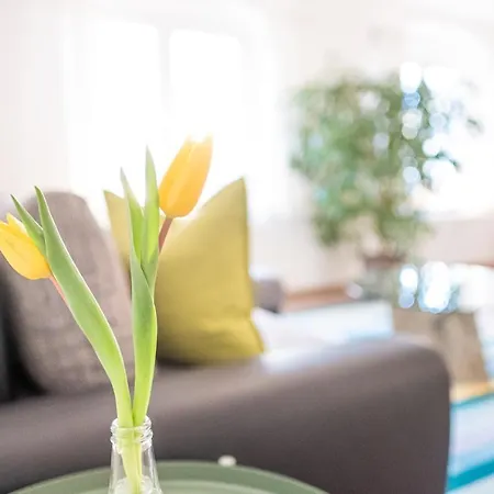 Helle Ferienwohnung Im Hinterhof * Dresden