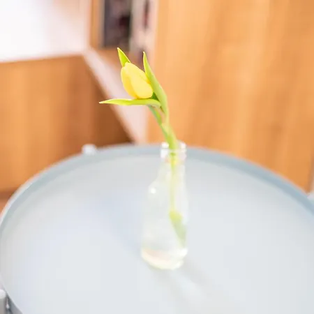 Apartamento Helle Im Hinterhof Dresden